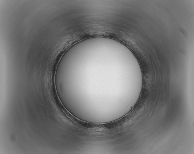 X0000113220642200909100923