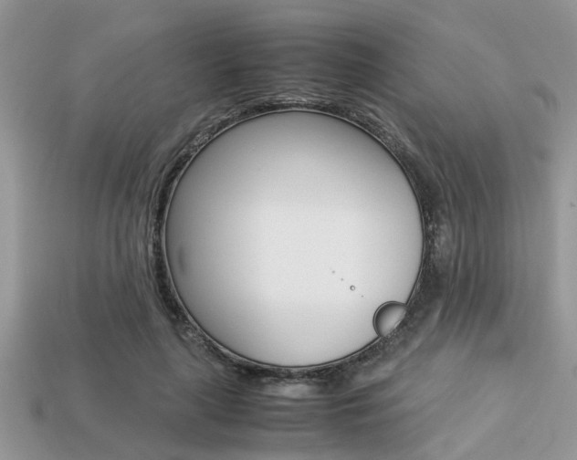 X0000113220643200909100923