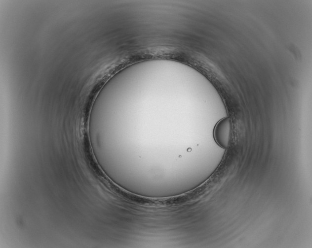 X0000113220644200909100923