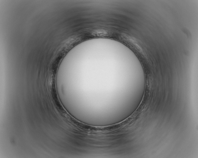 X0000113220645200909100923