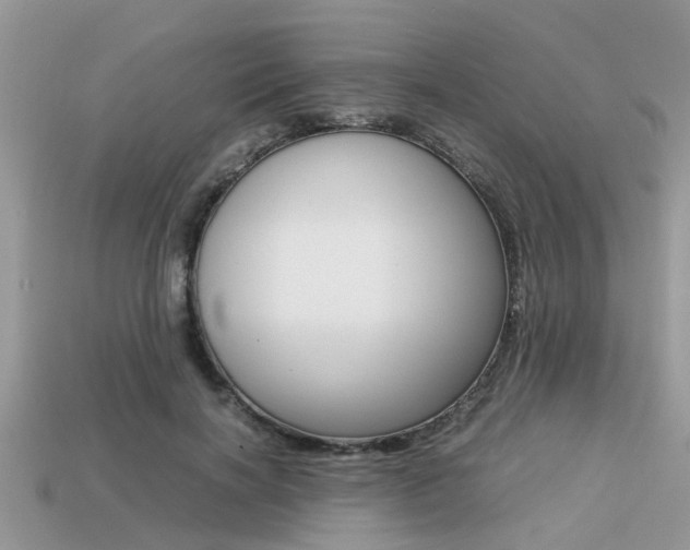 X0000113220646200909100923