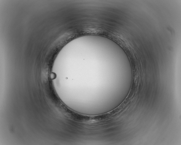 X0000113220647200909100923