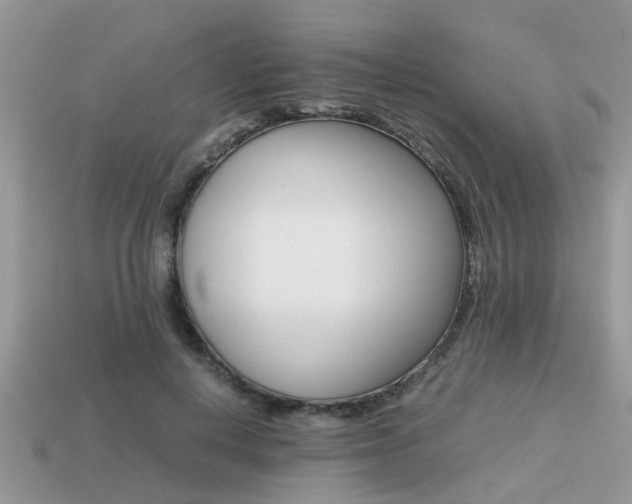 X0000113220648200909100923