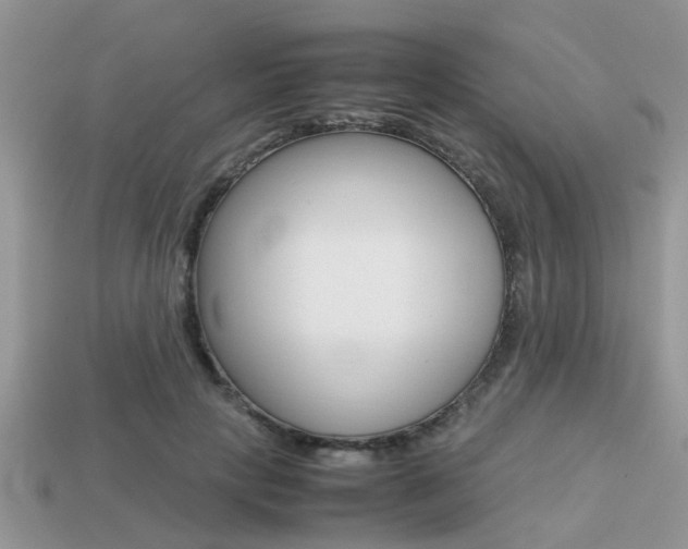 X0000113220649200909100923