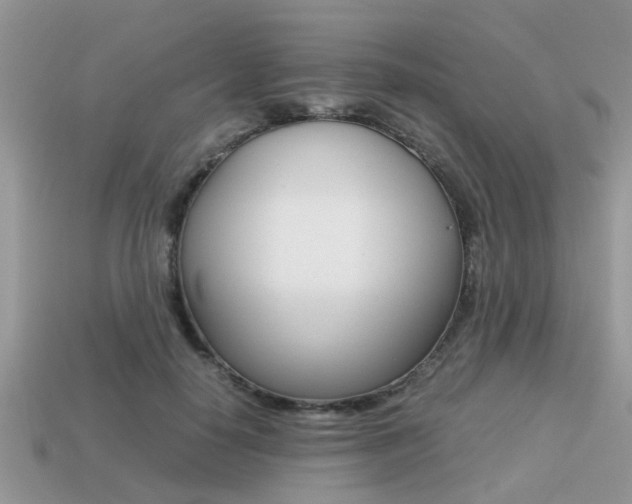 X0000113220650200909100923