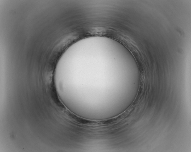 X0000113220652200909100923