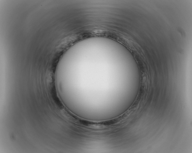 X0000113220654200909100923