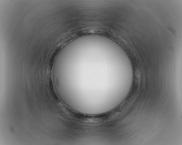 X0000113220657200909100923