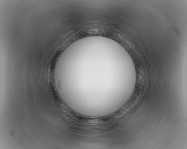 X0000113220659200909100923
