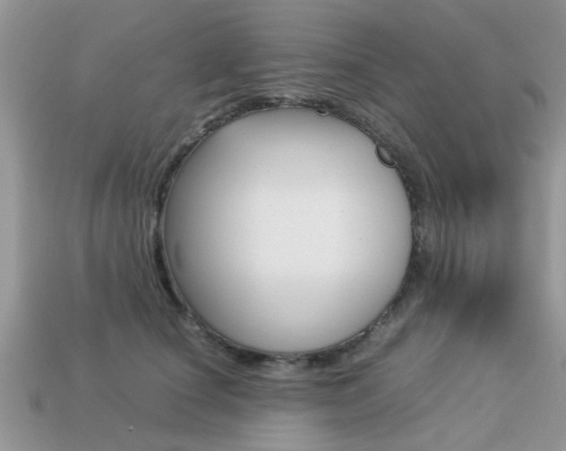 X0000113220660200909100923