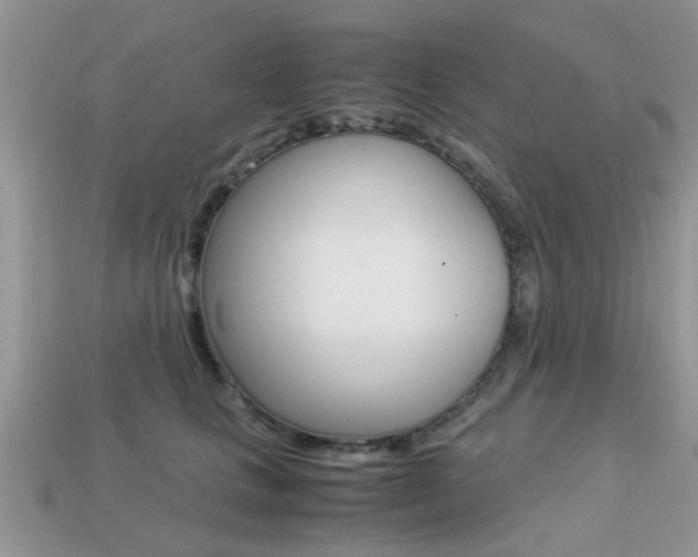 X0000113220661200909100923