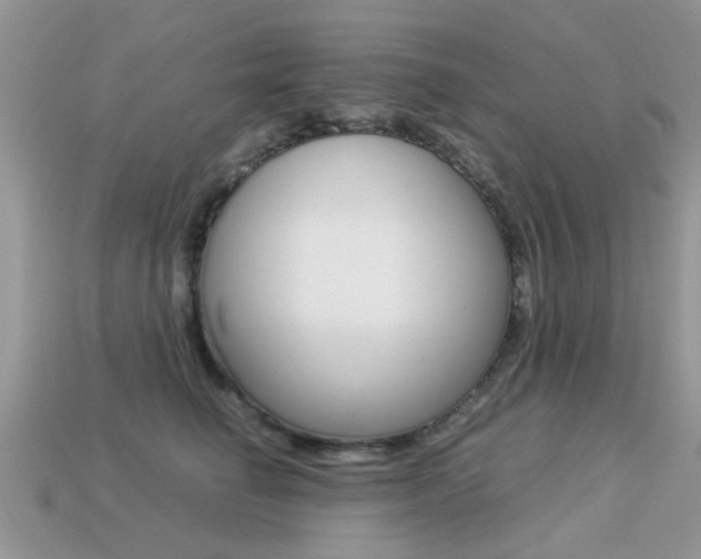 X0000113220662200909100923
