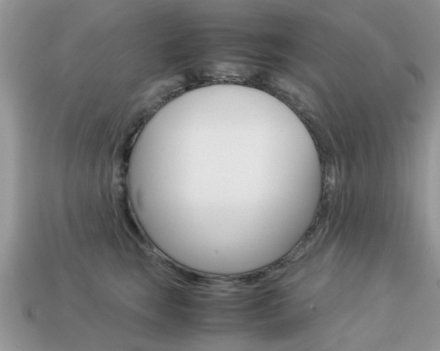 X0000113220663200909100923