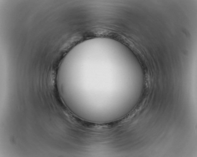 X0000113220664200909100924