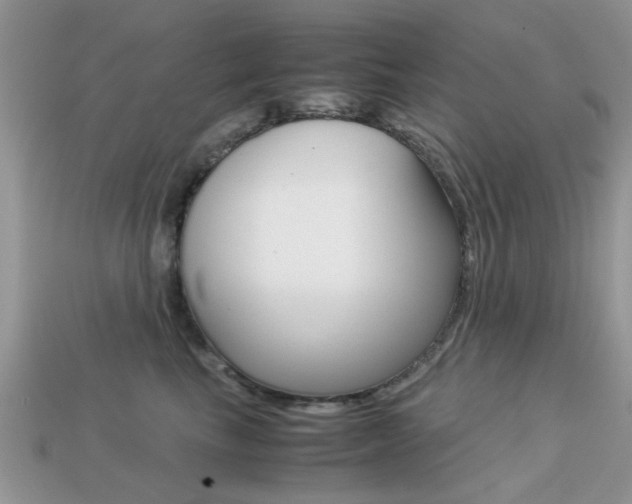 X0000113220665200909100924