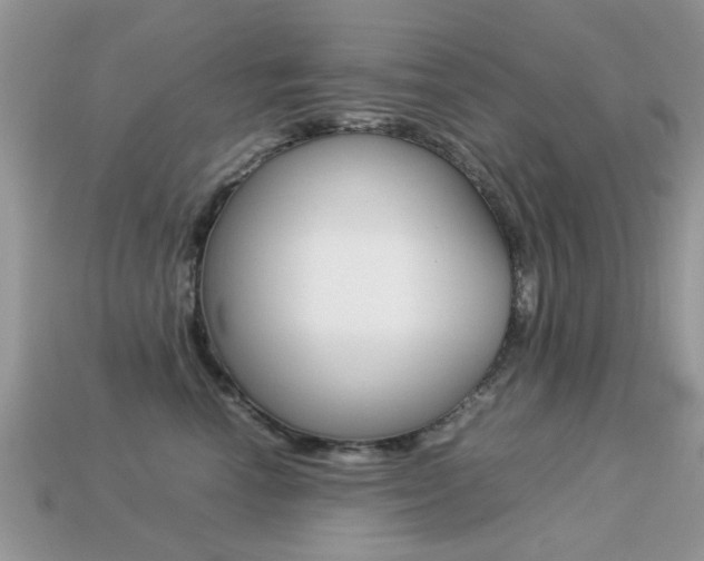 X0000113220666200909100924