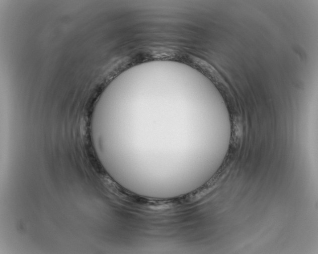 X0000113220667200909100924