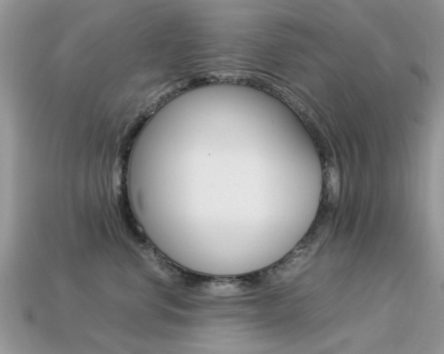 X0000113220668200909100924