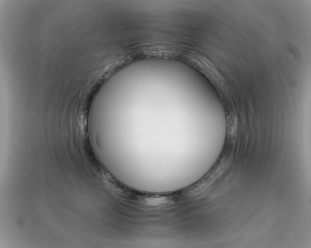 X0000113220669200909100924