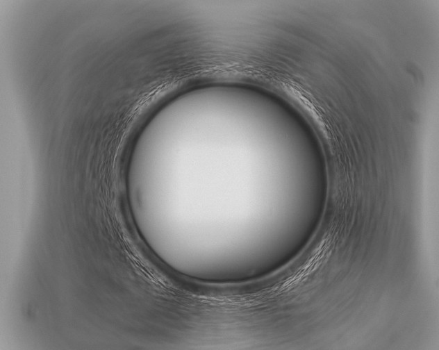 X0000113220673200909100923