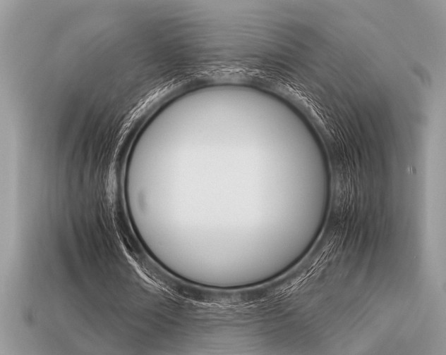 X0000113220674200909100923
