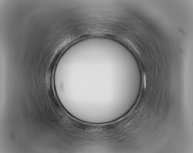 X0000113220675200909100923