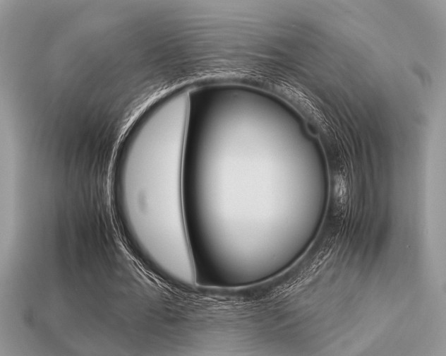 X0000113220676200909100923