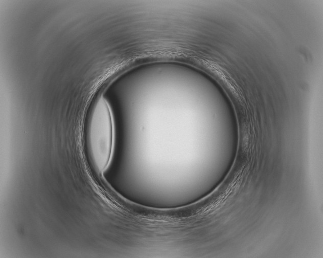 X0000113220677200909100923