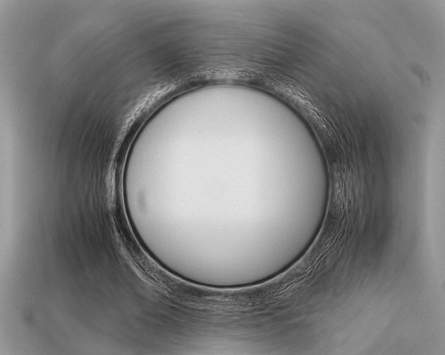 X0000113220678200909100923