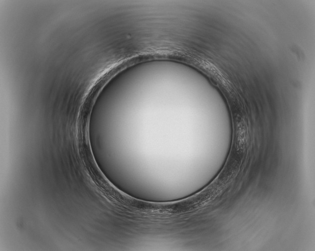 X0000113220680200909100923