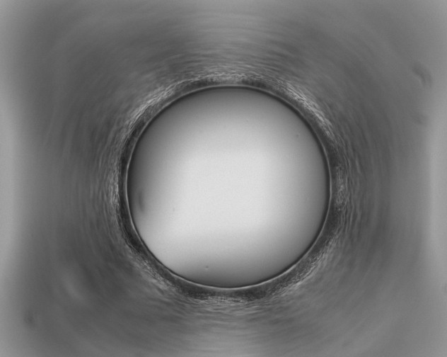 X0000113220681200909100923