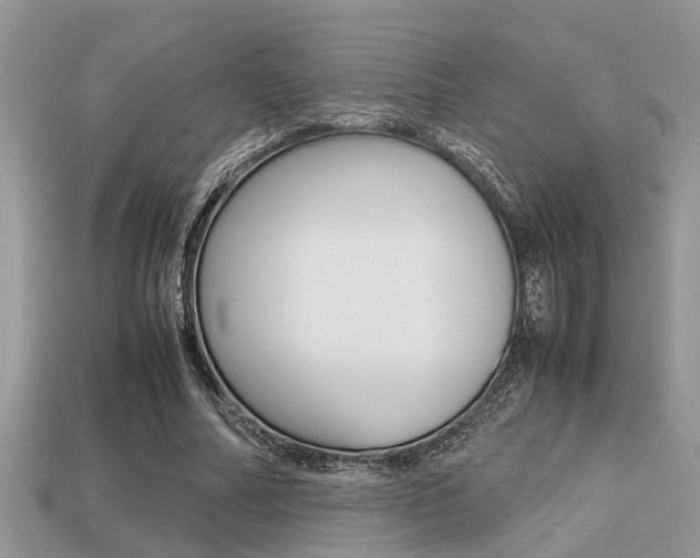 X0000113220682200909100923