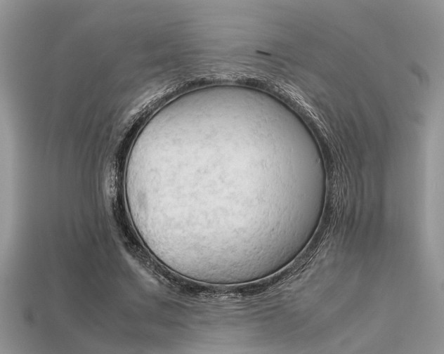 X0000113220683200909100923