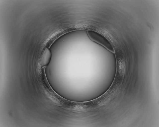 X0000113220684200909100923
