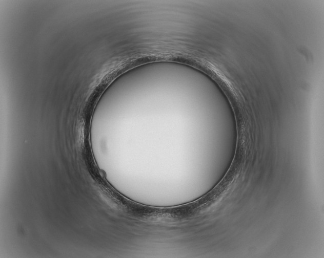 X0000113220685200909100923