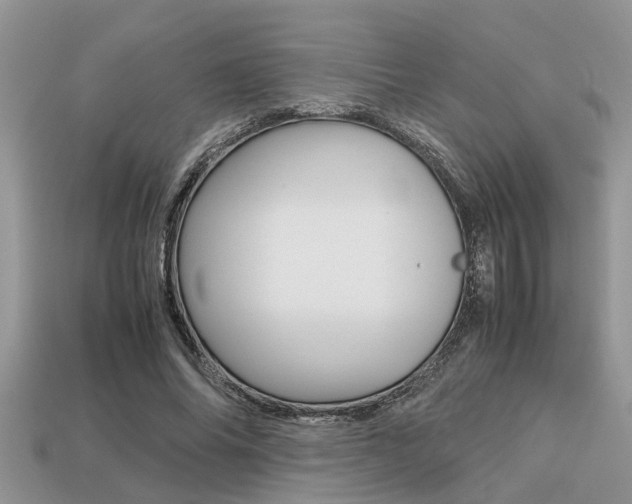 X0000113220686200909100923