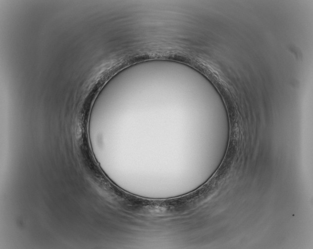 X0000113220687200909100923