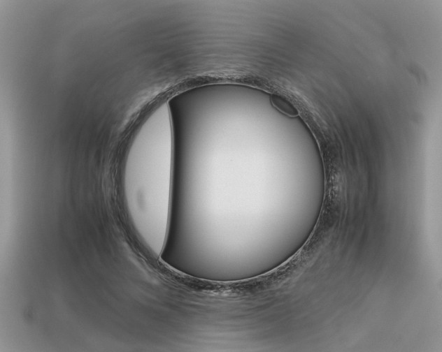 X0000113220688200909100923