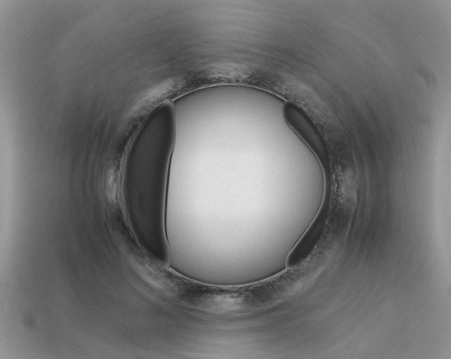 X0000113220692200909100923