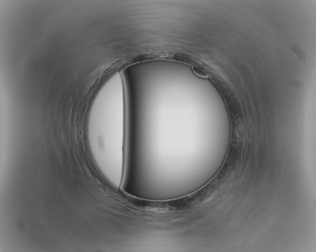 X0000113220693200909100923