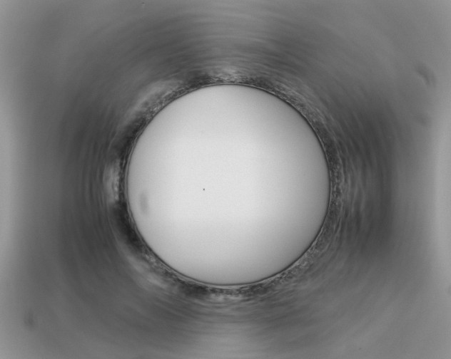 X0000113220694200909100923