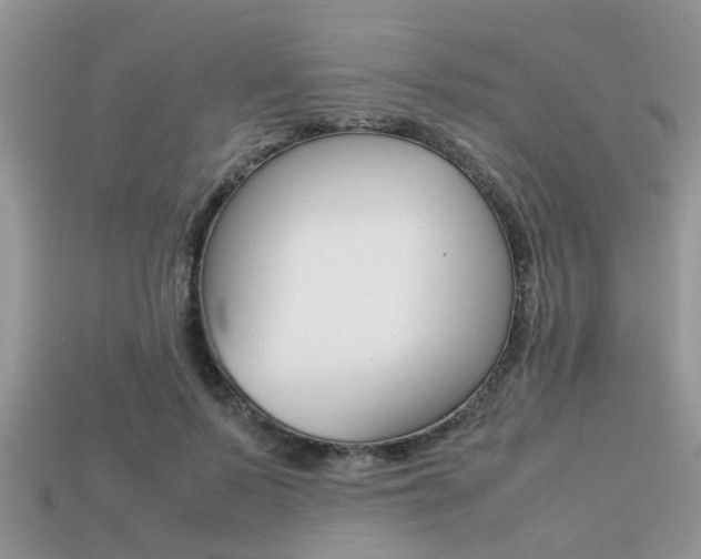 X0000113220695200909100923