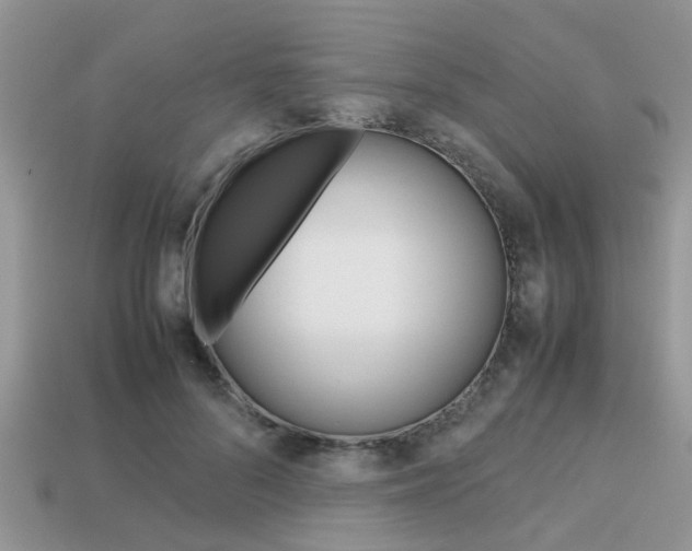 X0000113220696200909100923