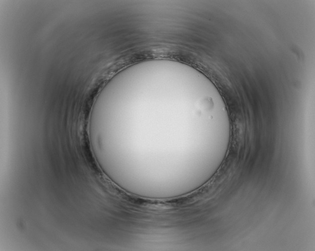 X0000113220698200909100923