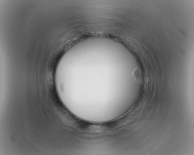 X0000113220699200909100923