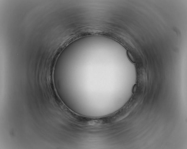 X0000113220700200909100923