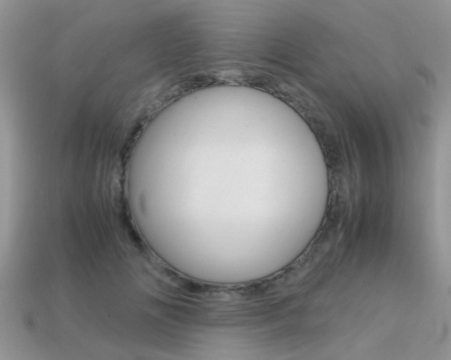 X0000113220702200909100923