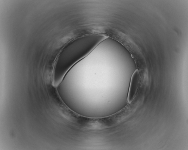 X0000113220704200909100923