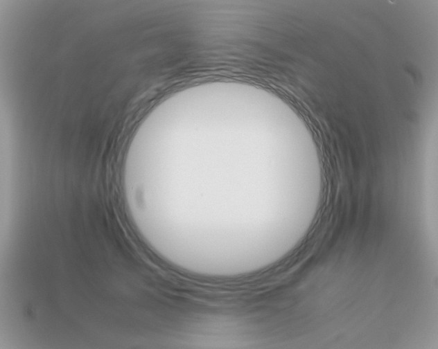 X0000113220705200909100923