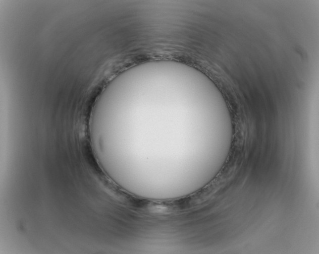 X0000113220706200909100923